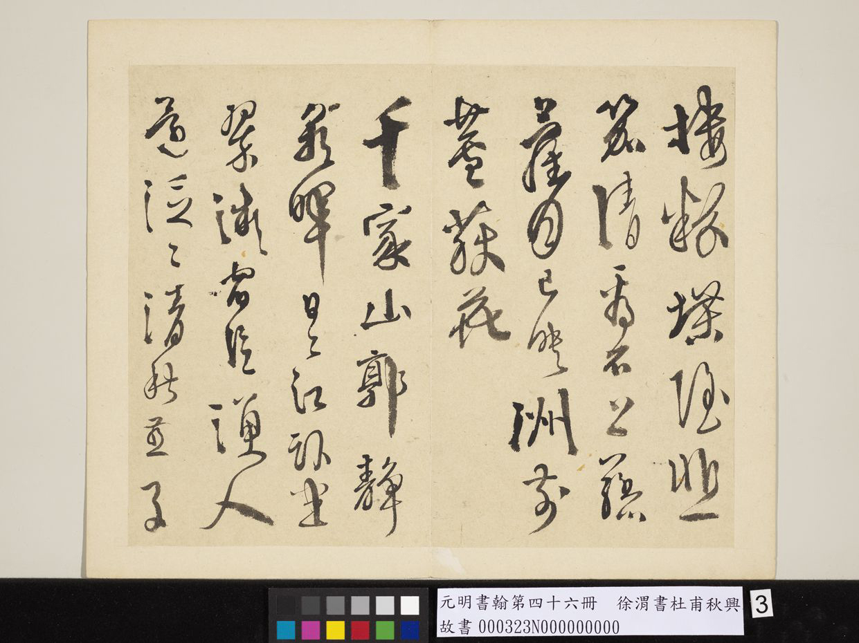 明_徐渭_书杜甫秋兴八首_3.jpg