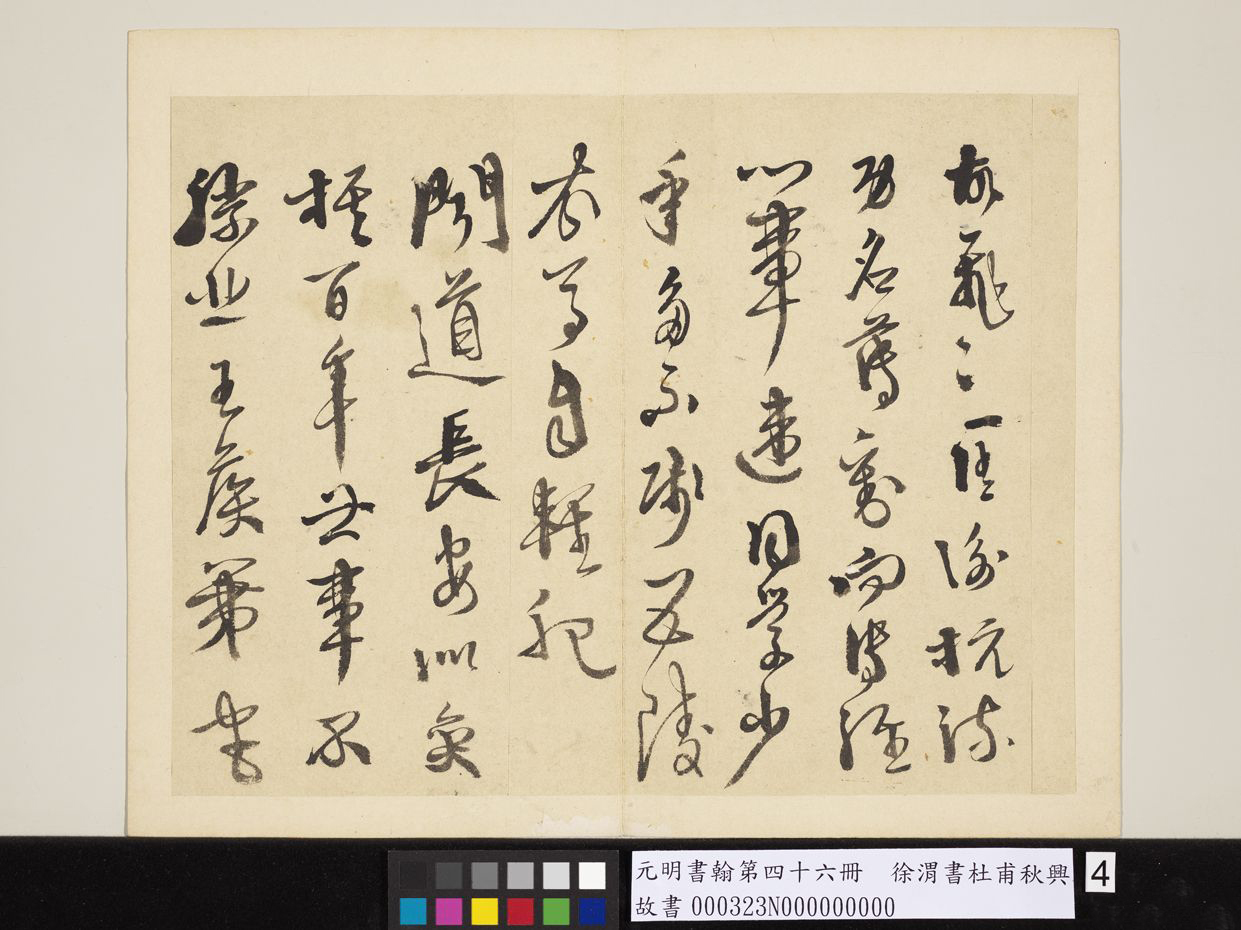 明_徐渭_书杜甫秋兴八首_4.jpg