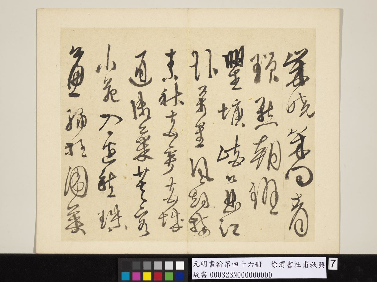 明_徐渭_书杜甫秋兴八首_7.jpg