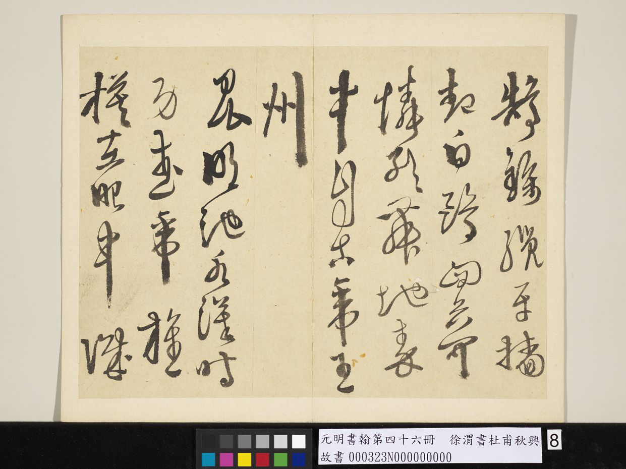 明_徐渭_书杜甫秋兴八首_8.jpg