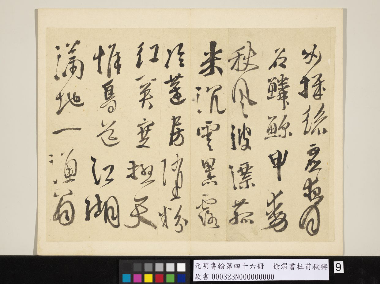 明_徐渭_书杜甫秋兴八首_9.jpg