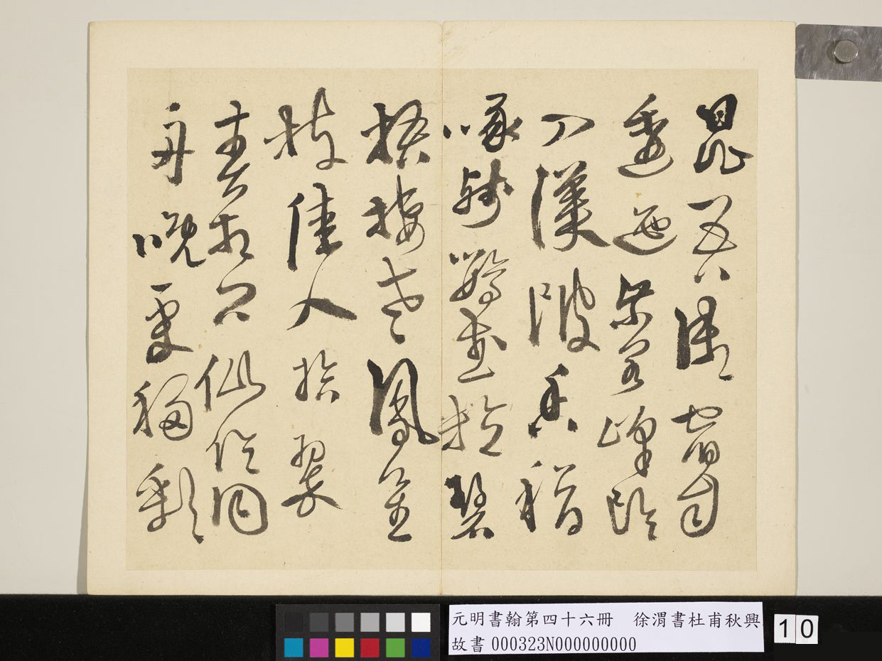 明_徐渭_书杜甫秋兴八首_10.jpg