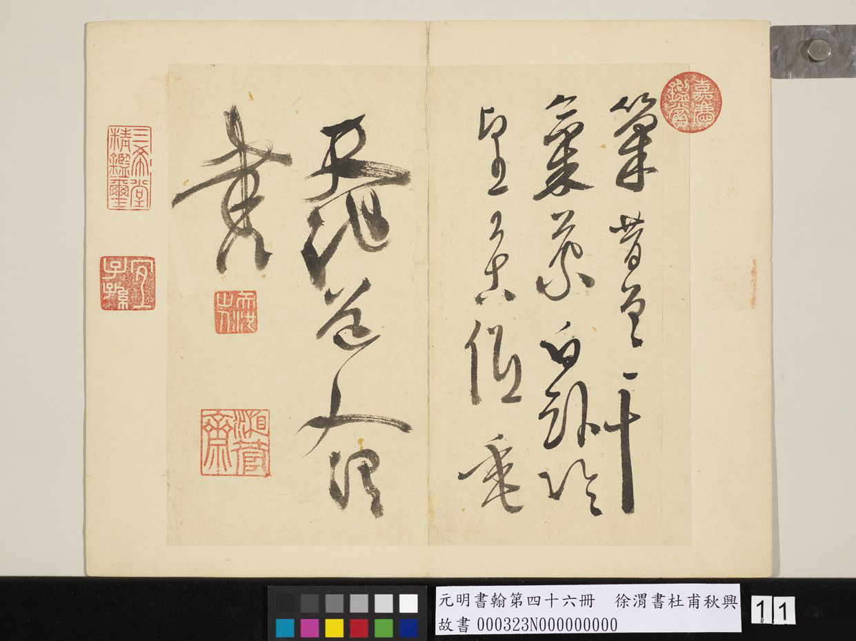 明_徐渭_书杜甫秋兴八首_11.jpg