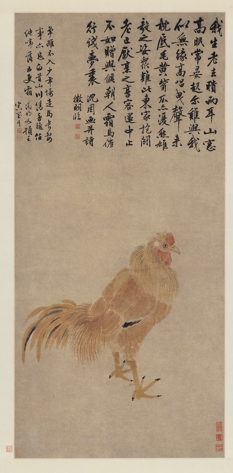 明_文徵明_临沈石田金鸡图