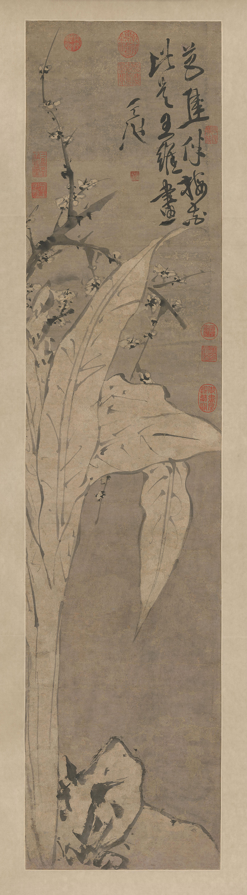 明_徐渭_梅花蕉叶图轴