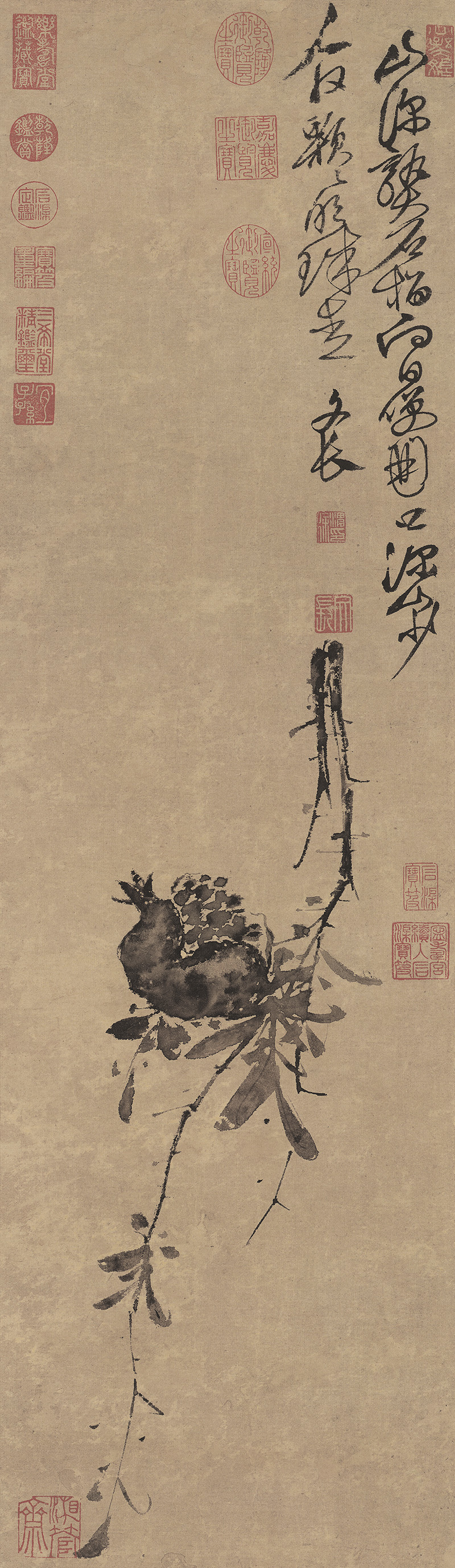 明_徐渭_榴实图