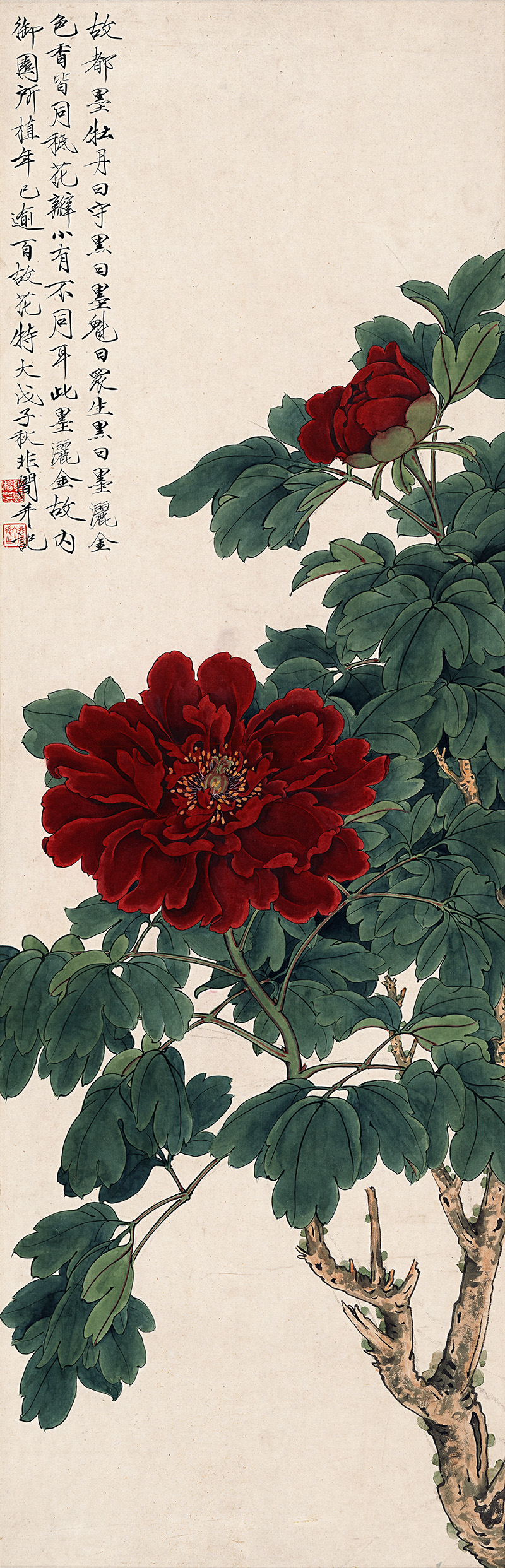 近现代_于非闇_国色天香