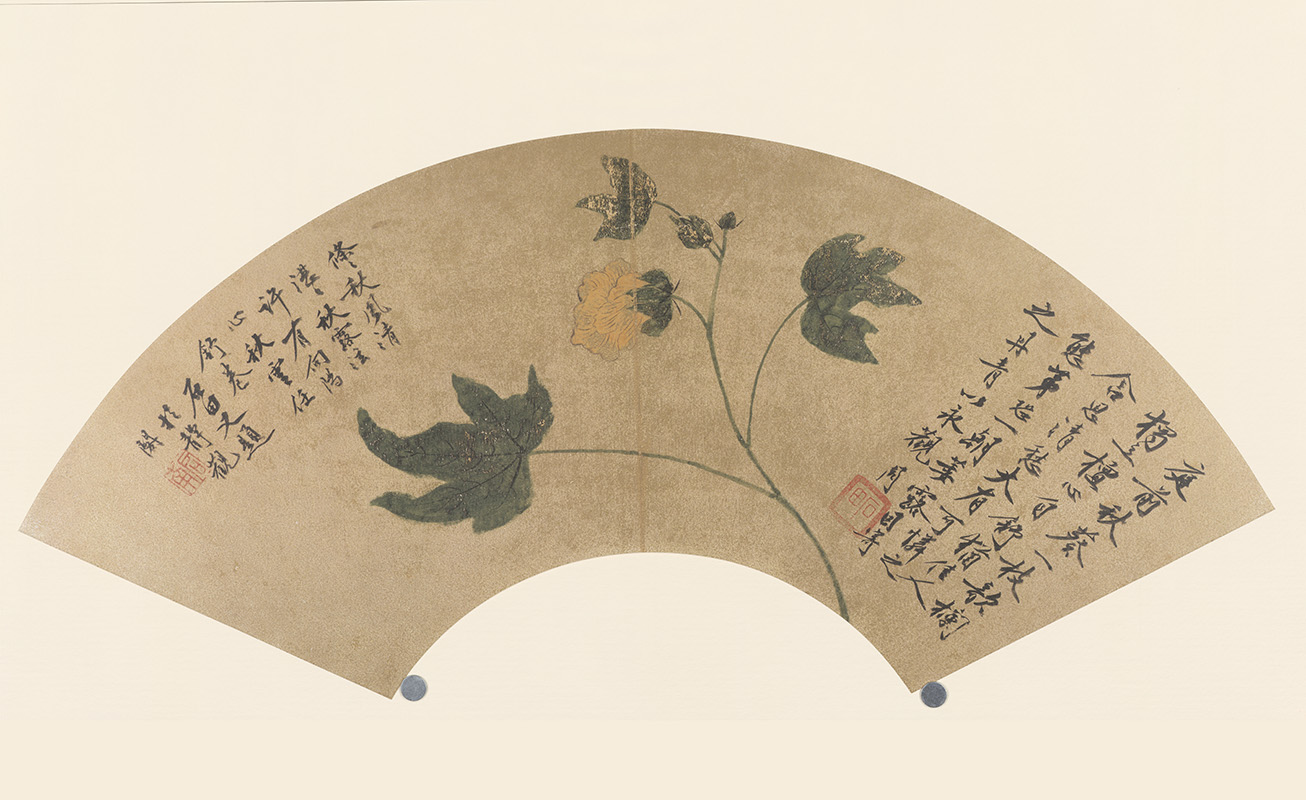 明 沈周 扇面画选 秋葵图 06