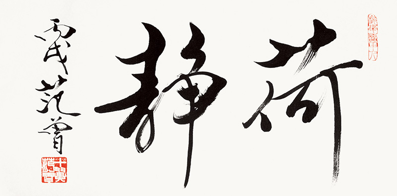 范曾 荷静.jpg