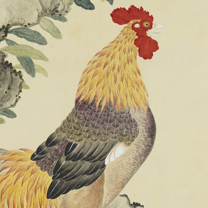 邹一桂石榴鸡图文章插图.jpg