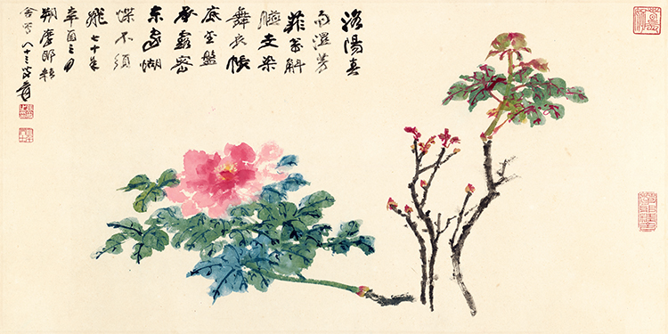 张大千 牡丹 纸本 横版.jpg