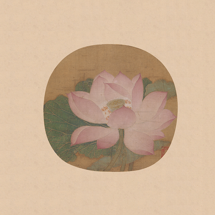 宋 佚名 出水芙蓉图页.jpg
