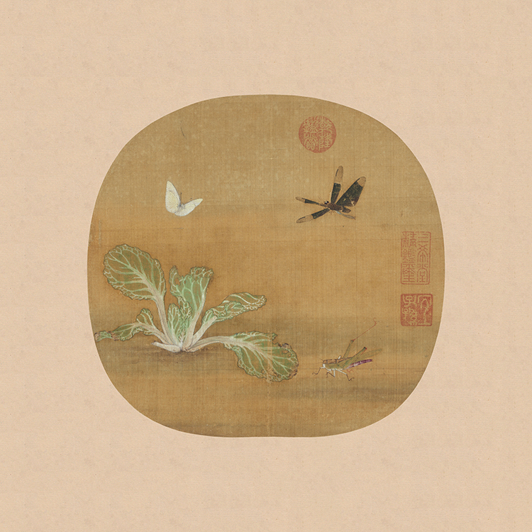 南宋 许迪 野蔬草虫图页.jpg